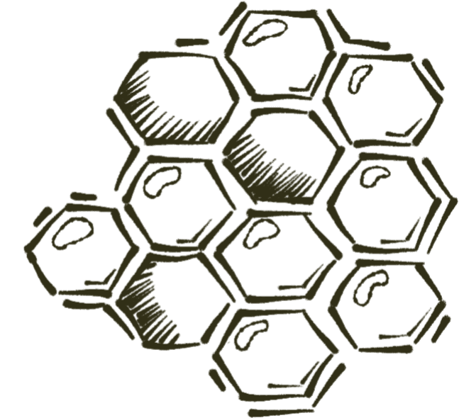 Base Honeycomb