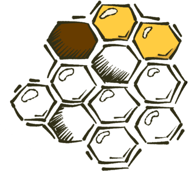 Top Layer